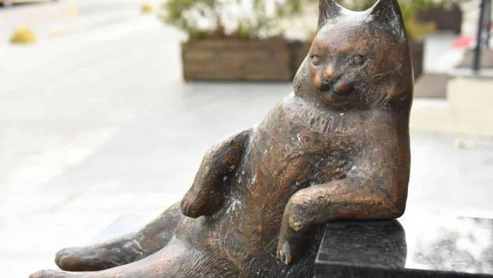 Kadıköy'ün kedisi Tombili yuvasına döndü