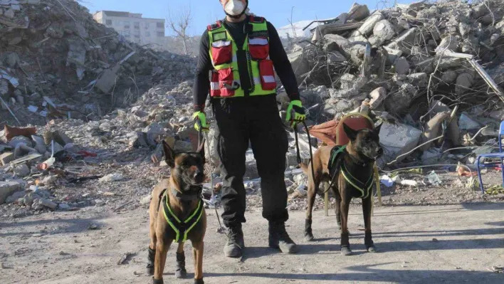 Kahraman köpekler: Asko ve Pia, 5 günde 10 kişiye ulaştı