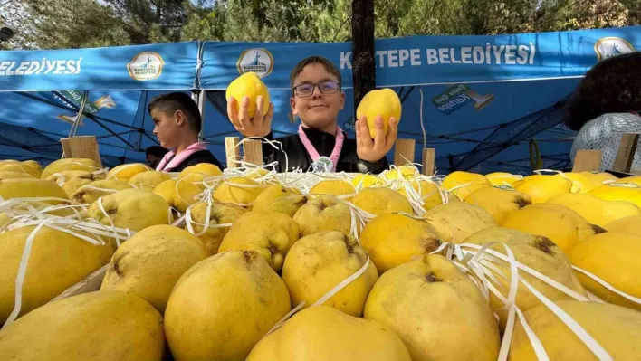 Kalitesiyle ünlü Eşme ayvası, festivalle görücüye çıktı