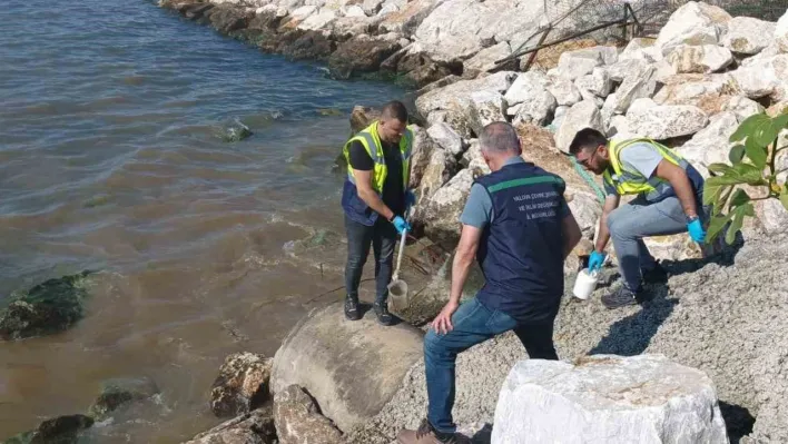 Kanalizasyonu denize deşarj eden Yalova Belediyesi'ne 1.3 milyon lira ceza