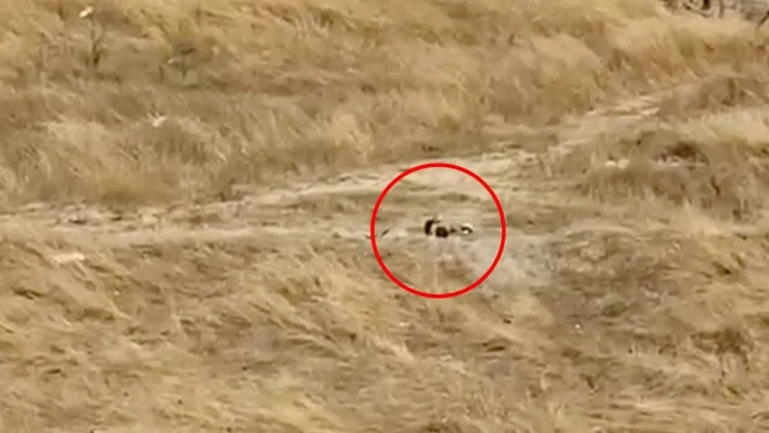 Kapaklı'da güpegündüz boş alanda uygunsuz görüntülere tepki