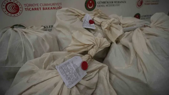 Kapıkule'de 113 kilo esrar ele geçirildi