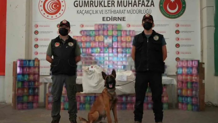 Kapıkule'de 20 bin elektronik sigara ve 29,5 kilogram uyuşturucu yakalandı