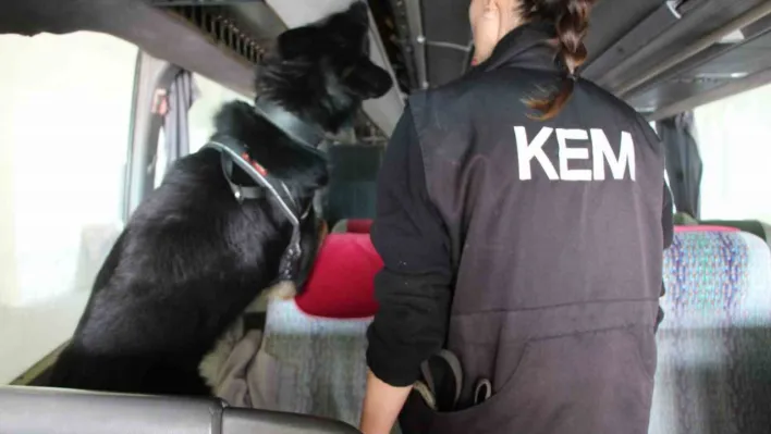 Kapıkule'de 77 kilo ecstacy ele geçirildi