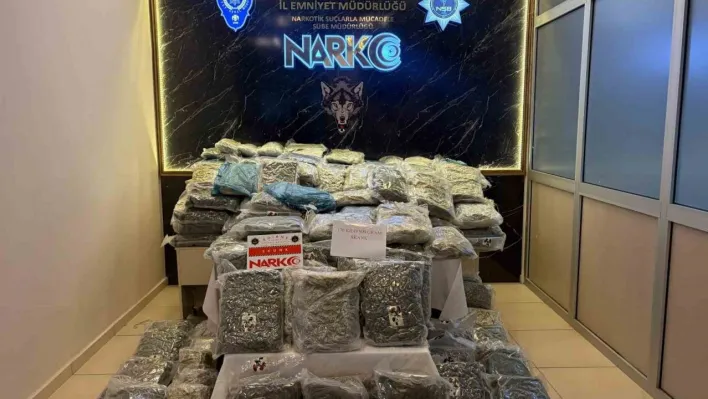 Kapıkule'de operasyonu: 171 kilogram uyuşturucu ele geçirildi, 2 kişi tutuklandı
