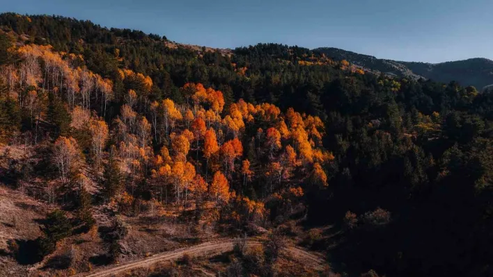 Karagöl Tabiat Parkı'nda sonbahar, renkli görüntüler oluşturdu