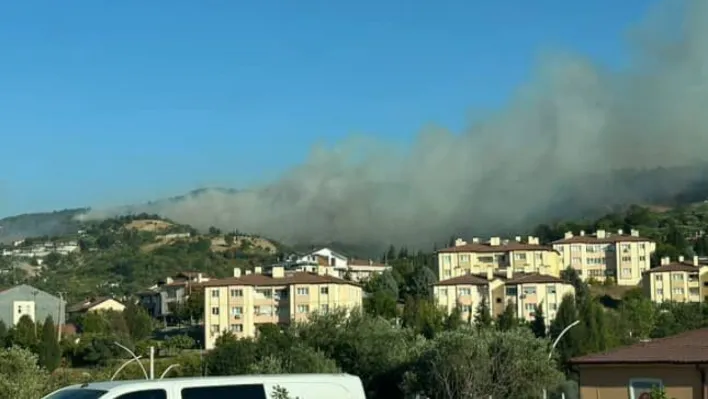 Karamürsel'de orman yangını başladı