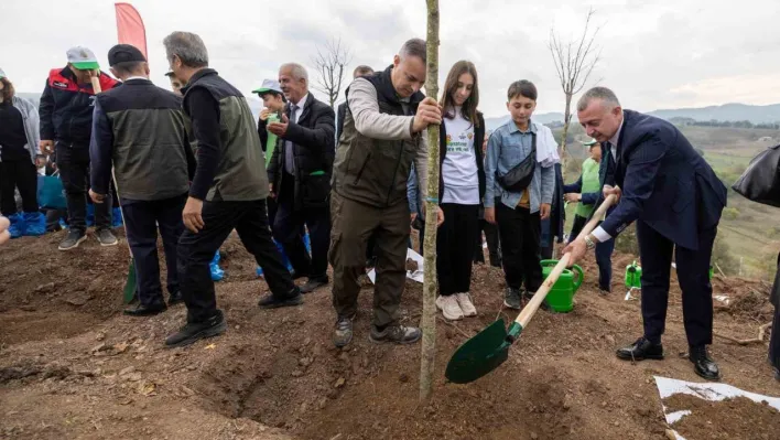 Karamürsel'de yanan bölge 3 bin fidanla yeniden yeşerecek