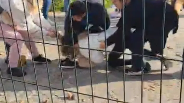 Kartal Anadolu Adliyesi önünde iki aile arasında yumruk yumruğa kavga çıktı