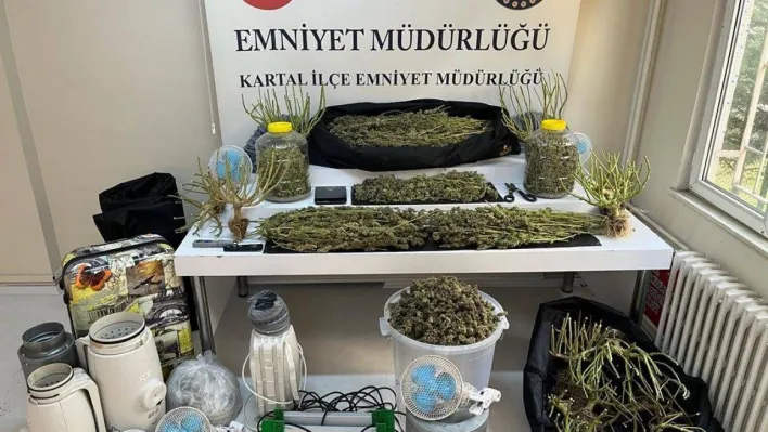 Kartal'da uyuşturucu serasına çevrilen evde 10 kilo marihuana ele geçirildi