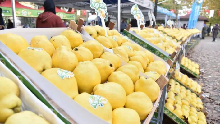 Kartepe'de Eşme Ayva Festivali düzenlenecek