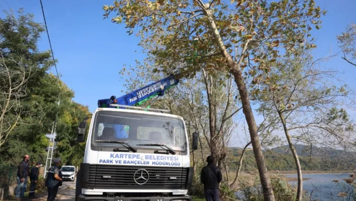 Kartepe'de yeşil alanlara bakım yapılıyor