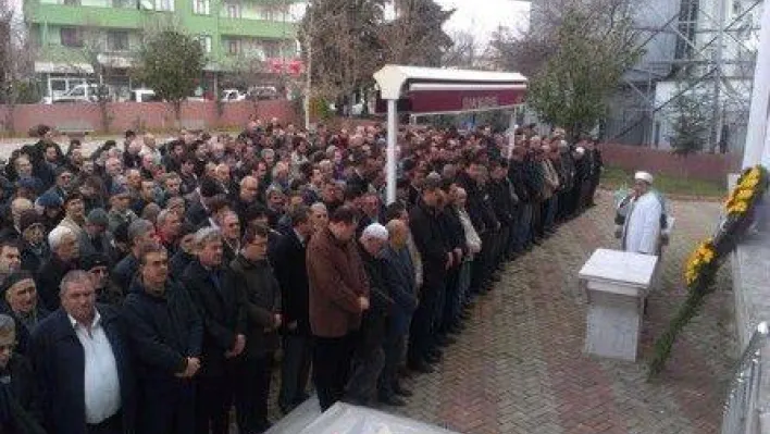 Kavaklı Bir Çınarını Daha Kaybetti