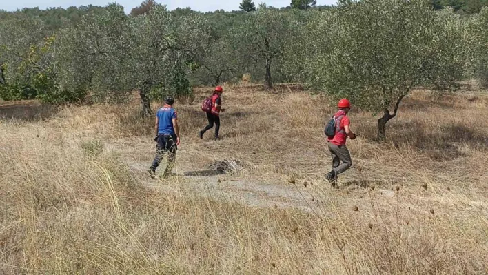 Kayıp şahıs Kazdağları'nda aranıyor