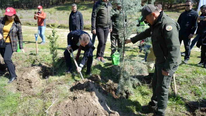 Kazdağları'nda fidanlar toprak ile buluştu