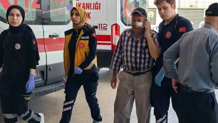 Kendini serinletmeyen bahçıvanı darp etti