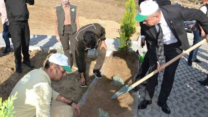 Keşan'da 500 fidan toprakla buluşturuldu