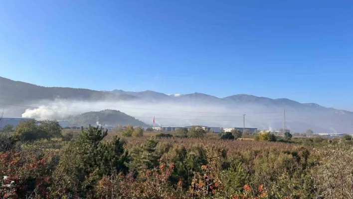 Kestel ve Gürsu'da çevre faciası: 'Filtreler çalıştırılmıyor, Bursalıların sağlığı hiçe sayılıyor' iddiası