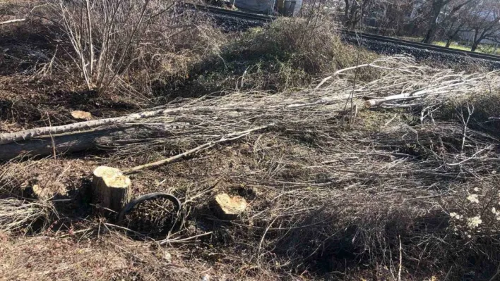 Kestiği ağaç üzerine devrilen adam hayatını kaybetti