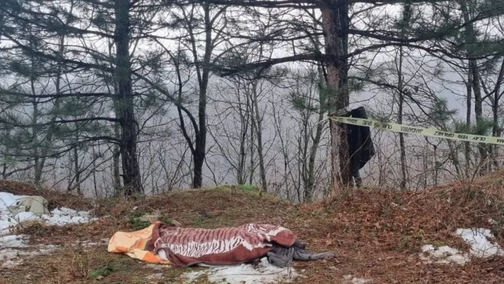 Kestiği ağacın altında kalarak hayatını kaybetti