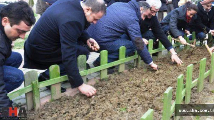 Kiptaş'ta Lale Ekimi Çalışmaları başladı