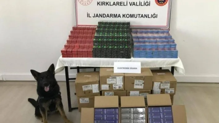 Kırklareli'nde 1 ayda 49 şüpheli yakalandı