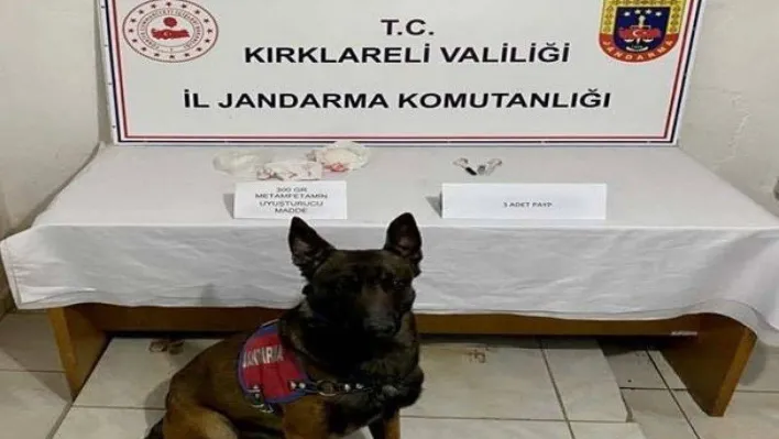 Kırklareli'nde 61 yıl kesinleşmiş hapis cezası bulunan şüpheli yakalandı