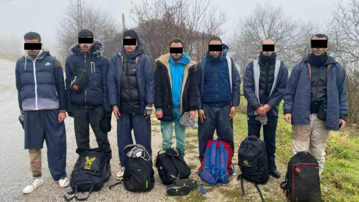 Kırklareli'nde 9 kaçak göçmen yakalandı
