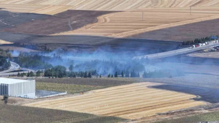 Kırklareli'nde alan yangını nedeniyle otoyollar ulaşıma kapandı