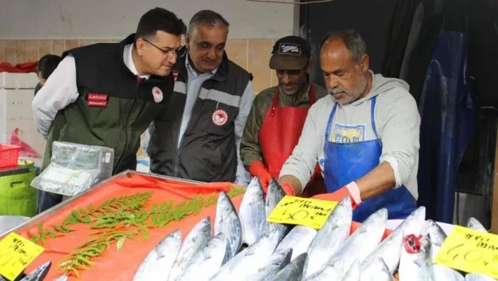 Kırklareli'nde balıkçılar denetlendi