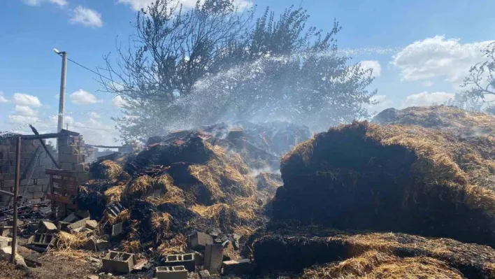 Kırklareli'nde çıkan yangında 800 saman balyası küle döndü