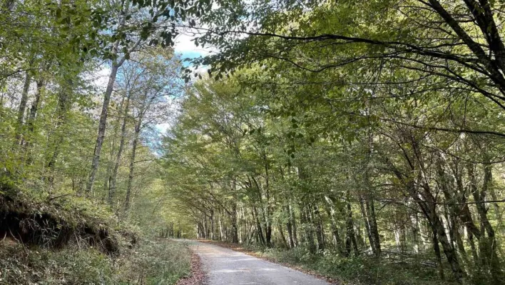 Kırklareli'nde ormanlara giriş 177 gün süreyle yasaklandı