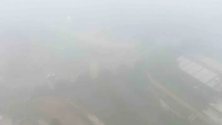 Kırklareli'nde sabah saatlerinde sis etkili oldu