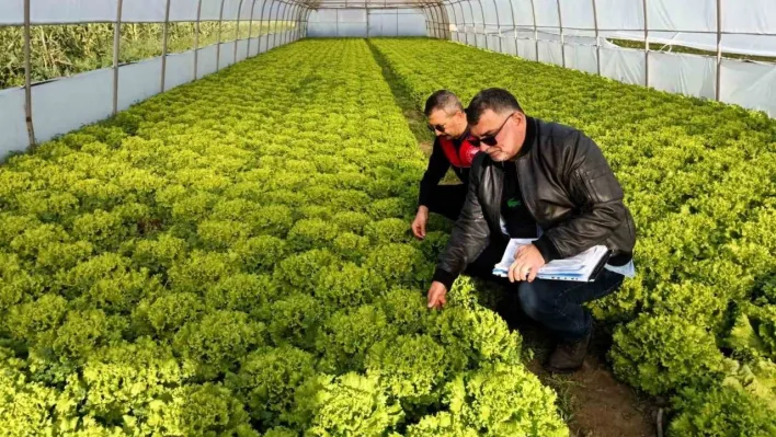 Kırklareli'nde sera denetimleri