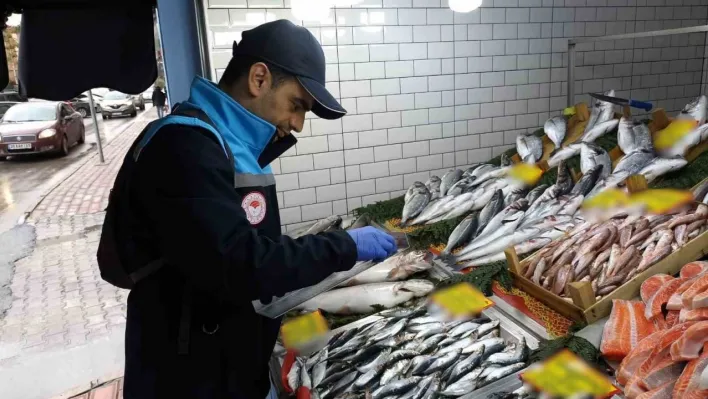 Kırklareli'nde su ürünleri denetimi