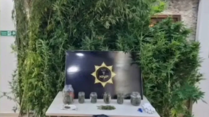 Kırklareli'nde uyuşturucu operasyonu: 2 gözaltı