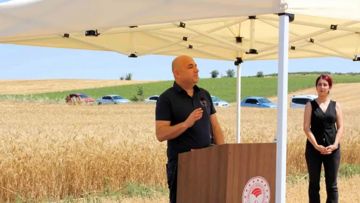 Kırklareli'nde yerli ve milli buğday hasadı yapıldı