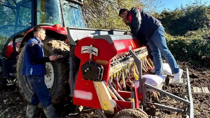 Kırklareli'nde yerli ve milli yulaf çeşitleri yaygınlaştırılacak