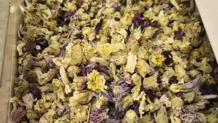 Kışın favorisi: Zencefil, propolisli macun, kara mürver ve karadut pekmezleri