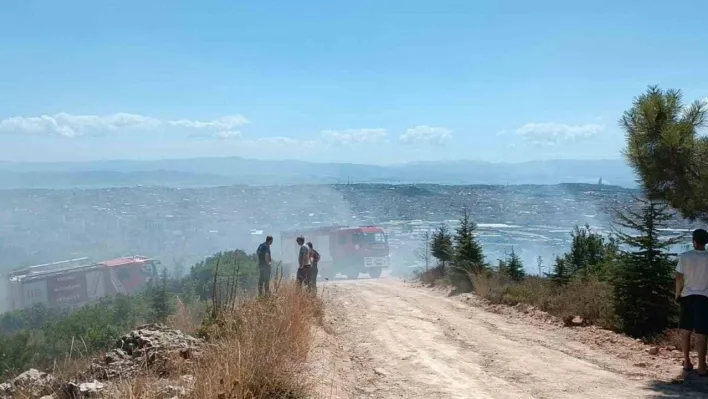 Kocaeli'de ağaçlık alanda çıkan yangında kundaklama iddiası