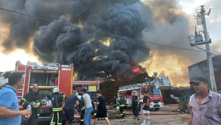 Kocaeli'de geri dönüşüm fabrikasında yangın