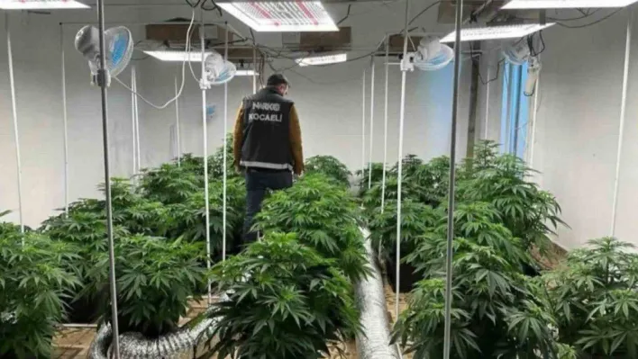 Kocaeli'de uyuşturucu operasyonunda 2 kişi tutuklandı