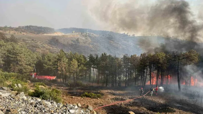 Kocaeli'den Bursa'daki orman yangınına söndürme desteği