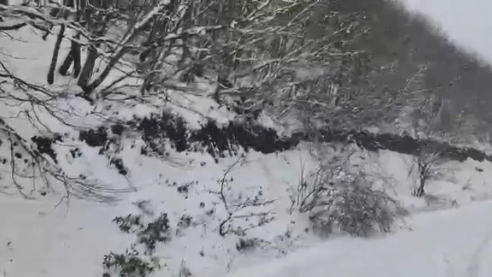 Kocaeli'nin yüksek kesimleri beyaza büründü