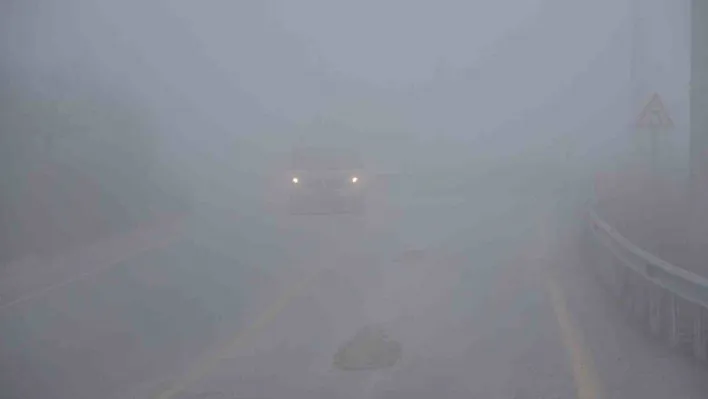 Kocaeli'ye sis çöktü: Göz gözü görmedi