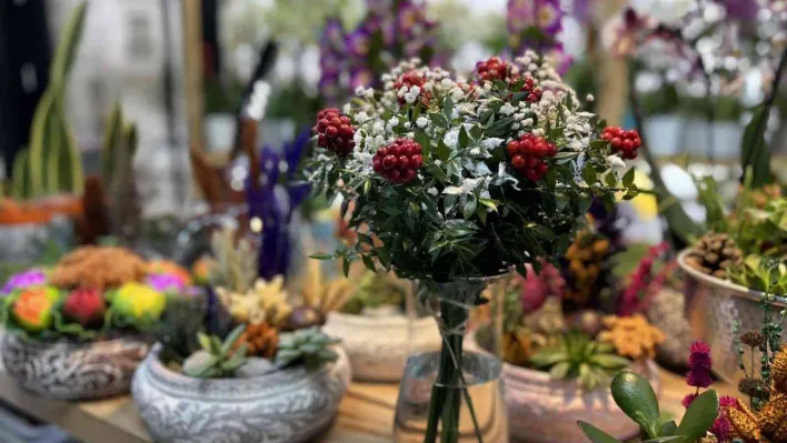 Kokina çiçekleri yılbaşına hazır