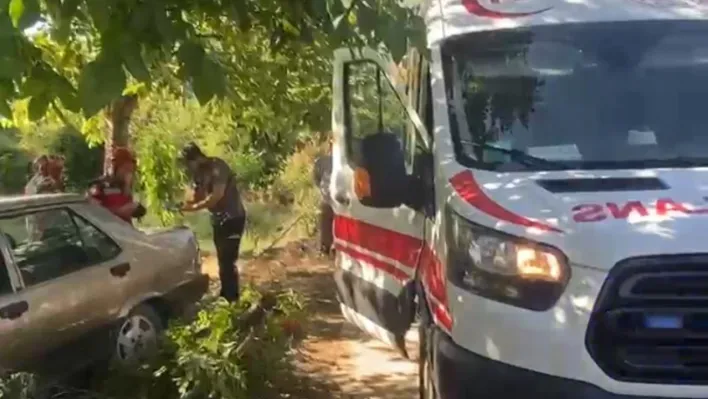 Kontrolden çıkan Tofaş ağaca çarptı: Karı-koca yaralandı