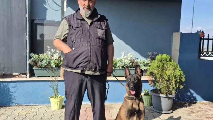 Köpek eğitmeni Eren Ay: 'Köpekler kötü değildir, kötü eğitim vardır'