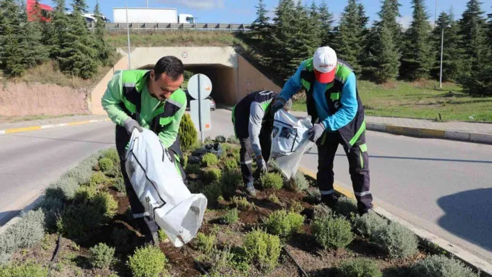 Körfez'de atıklar yeşile dönüşüyor