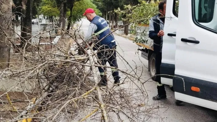 Körfez'de mezarlıklara genel bakım